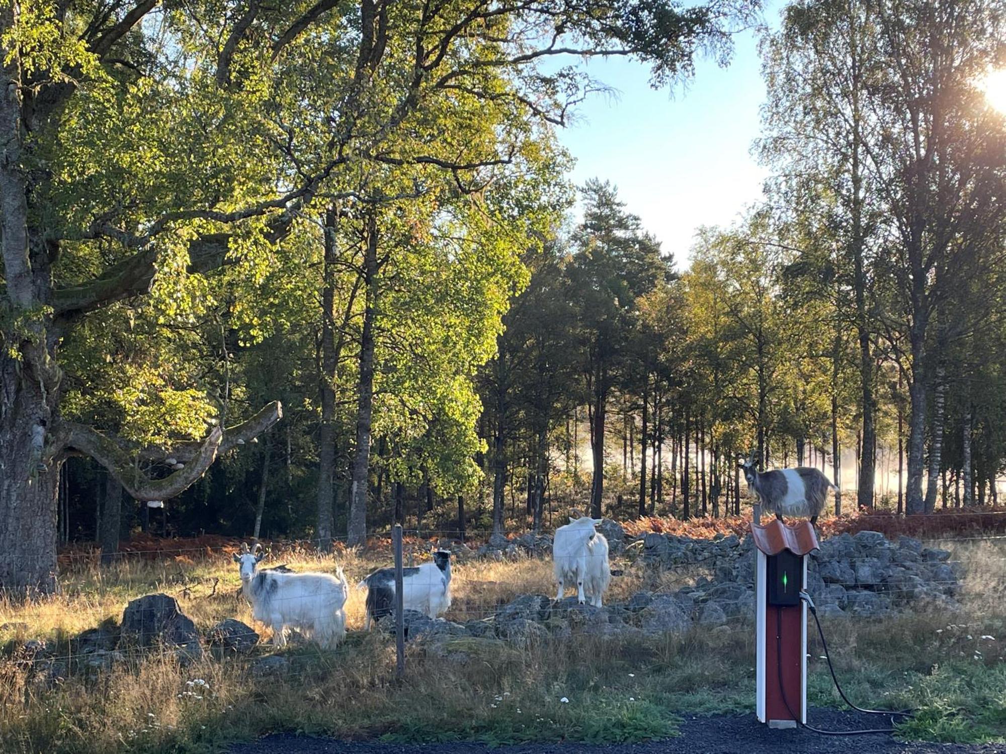 Smalandstorpets Lanthotell Hok Exterior foto