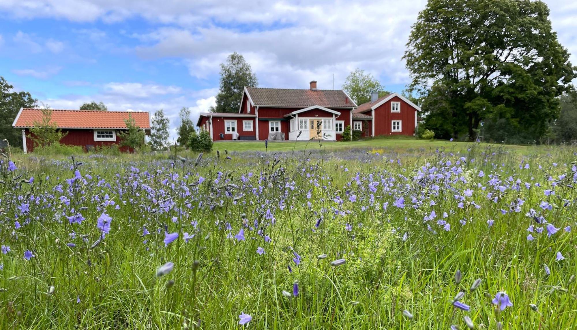Smalandstorpets Lanthotell Hok Exterior foto